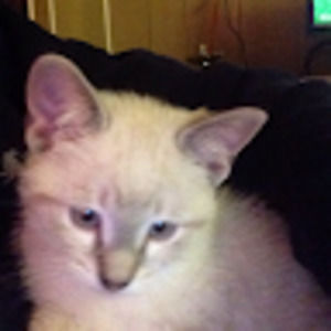 Meet your Posher, Breanna